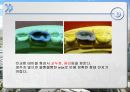 납형제작 기법에 대한 연구.ppt 12페이지