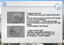 납형제작 기법에 대한 연구.ppt 16페이지