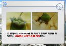 납형제작 기법에 대한 연구.ppt 19페이지