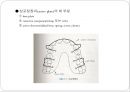 6장 교정장치의 구성요소.ppt 4페이지