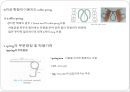 6장 교정장치의 구성요소.ppt 17페이지