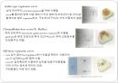 6장 교정장치의 구성요소.ppt 22페이지