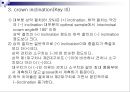 제3장 정상교합과 부정교합.ppt 7페이지