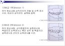 제3장 정상교합과 부정교합.ppt 17페이지