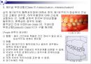 제3장 정상교합과 부정교합.ppt 18페이지