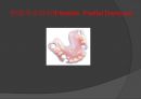 탄성국소의치(Flexible partial denture).ppt 1페이지