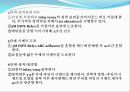 신포니(Sinfony)제작과정.ppt 23페이지