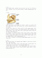 안면골절(facial bone fracture)치료 3페이지