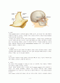 안면골절(facial bone fracture)치료 4페이지