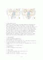 안면골절(facial bone fracture)치료 8페이지