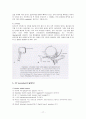 안면골절(facial bone fracture)치료 17페이지