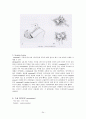안면골절(facial bone fracture)치료 24페이지