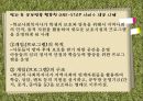 [학교사회복지] 학교사회복지의 정의와 필요성 및 우리나라 학교사회복지 제도화의 방향과 문제점 및 학교사회복지 실천 사례.PPT자료 (★★★★★평가우수자료) 21페이지