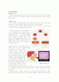 [사회과학] [아동과 영양교육] 아동의 영양 교육의 필요성, 개념, 영양관리, 영양소의 종류, 영샹교육의 기초 및 영양교육의 모든 것(평가우수자료) 10페이지