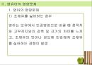 [아동과 영양교육] 아동의 영양 교육의 필요성, 개념, 영양관리, 영양소의 종류, 영샹교육의 기초 및 영양교육의 모든 것(★★★★★평가우수자료) 85페이지