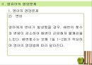 [아동과 영양교육] 아동의 영양 교육의 필요성, 개념, 영양관리, 영양소의 종류, 영샹교육의 기초 및 영양교육의 모든 것(★★★★★평가우수자료) 86페이지