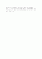 비정규직보호법  27페이지
