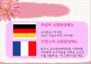 교사론 15페이지
