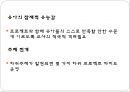 레지오에밀리아 8페이지