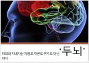 영재교육에 대하여 3페이지