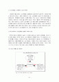 다국적기업,월마트,월마트경영전략,월마트전략,월마트마케팅전략,유통산업,유통산업분석,유통시장동향,유통시장,이마트,월마트와이마트,월마트한국진출실폐,월마트실패 61페이지