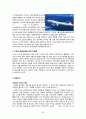 항공사경영,저가항공사,대형항공사,항공마케팅,마케팅,브랜드,브랜드마케팅,기업,서비스마케팅,글로벌,경영,시장,사례,swot,stp,4p 43페이지
