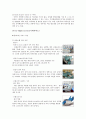 항공마케팅,대한항공,아시아나항공,항공마케팅,마케팅,브랜드,브랜드마케팅,기업,서비스마케팅,글로벌,경영,시장,사례,swot,stp,4p 23페이지