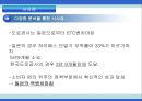 한국도로공사,하이패스마케팅,하이패스마케팅전략,한국도로공사사업현황,한국도로공사시사점,한국도로공사변화,한국도로공사혁신,한국도로공사향후전망,공기업경영혁신,공기업혁신경영 54페이지