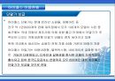 한국도로공사,하이패스마케팅,하이패스마케팅전략,한국도로공사사업현황,한국도로공사시사점,한국도로공사변화,한국도로공사혁신,한국도로공사향후전망,공기업경영혁신,공기업혁신경영 60페이지