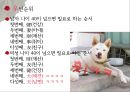 40대 남자vs여자,40대부부,중년부부분석,중년부부관계,부부갈등,40대 성이야기.PPT자료 37페이지