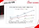 8-seconds분석,8-seconds현황,SPA시장분석,SPA시장현황과 경쟁사분석 14페이지