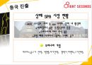 8-seconds분석,8-seconds현황,SPA시장분석,SPA시장현황과 경쟁사분석 49페이지