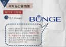 [국제자원론]식량위기원인과 진행과정, 향후식량위기 가능성,GMO 12페이지