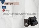[국제자원론]식량위기원인과 진행과정, 향후식량위기 가능성,GMO 16페이지