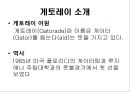 게토레이,게토레이분석,게토레이마케팅,게토레이경쟁제품,스포츠음료,스포츠음료시장,스포츠음료마케팅,스포츠음료분석 4페이지