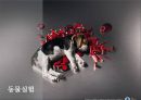 과학과인간,생명과학,과학기술,과학이란.PPT자료 81페이지