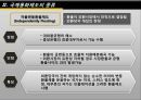 국제환율제도,한국의환율제도,환율불안정성,환율제도 9페이지