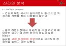국제경영학,수출사례분석,농심 신라면 마케팅사례,중국 라면 시장 분석,브랜드마케팅,서비스마케팅,글로벌경영,사례분석,swot,stp,4p 22페이지
