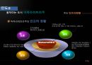 국제시장마케팅,인도시장마케팅,인도시장,마케팅,브랜드,브랜드마케팅,기업,서비스마케팅,글로벌,경영,시장,사례,swot,stp,4p 44페이지