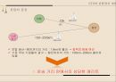 [국제경영론] 해외자원개발 (해외자원개발의 의미, 필요성, 중요성, 한국사례, 장·단점, 성공사례, 어려움, 실패사례).PPT자료 36페이지