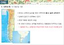글로벌비지니스마케팅-칠레,로빈크루소의섬,모아이석상 8페이지