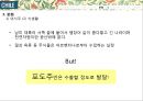 글로벌비지니스마케팅-칠레,로빈크루소의섬,모아이석상 15페이지