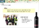 글로벌비지니스마케팅-칠레,로빈크루소의섬,모아이석상 16페이지