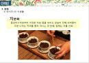 글로벌비지니스마케팅-칠레,로빈크루소의섬,모아이석상 18페이지