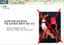 글로벌비지니스마케팅-칠레,로빈크루소의섬,모아이석상 21페이지