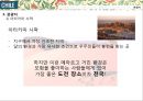글로벌비지니스마케팅-칠레,로빈크루소의섬,모아이석상 29페이지