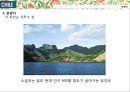 글로벌비지니스마케팅-칠레,로빈크루소의섬,모아이석상 34페이지