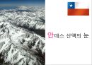 글로벌비지니스마케팅-칠레,로빈크루소의섬,모아이석상 45페이지