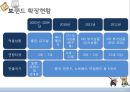 글로벌마케팅,마케팅사례,시장진출,세계시장진출,러시아시장,브랜드마케팅,서비스마케팅,글로벌경영,사례분석,swot,stp,4p 11페이지