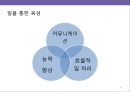 글로벌화의요인및이슈,글로벌화전략,글로벌화HRM전략,HRM전략 27페이지